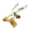 Penis Envy Mushroom for sale