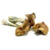 Buy Ecuadorian Mushrooms for sale